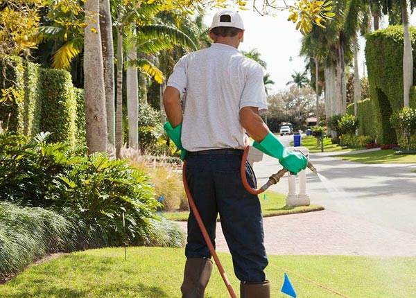 About Clinton LA Pest Control